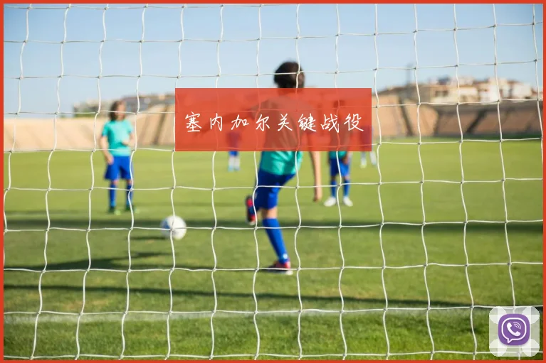 塞内加尔关键战役