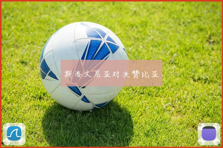 斯洛文尼亚对决赞比亚