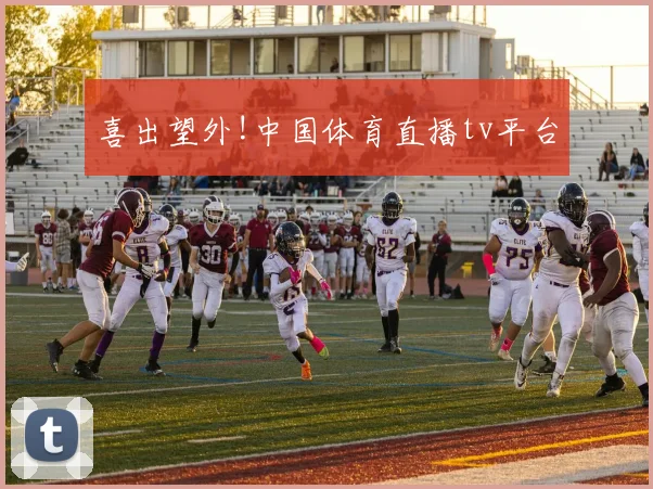 喜出望外!中国体育直播tv平台