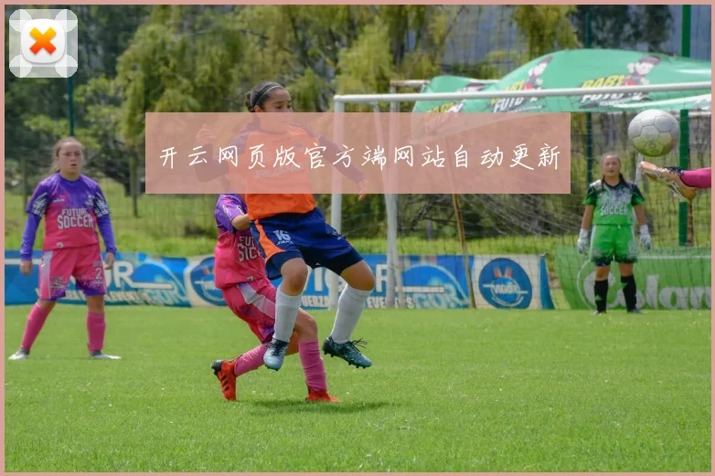 开云网页版官方端网站自动更新