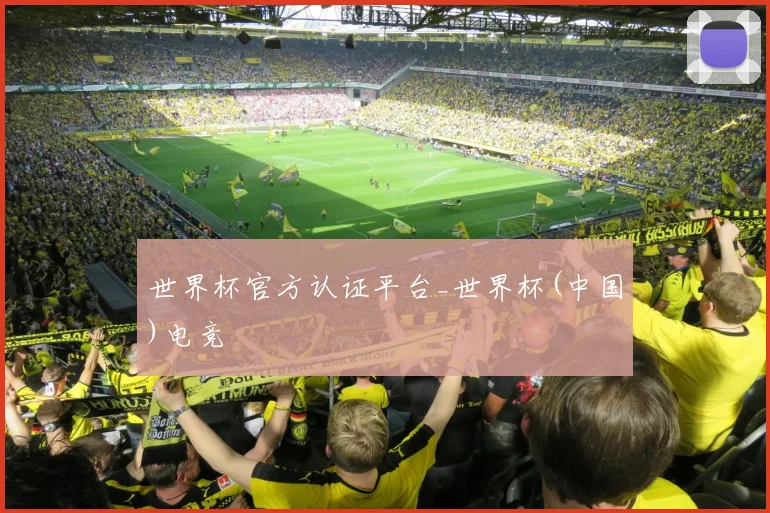 世界杯官方认证平台_世界杯(中国)电竞