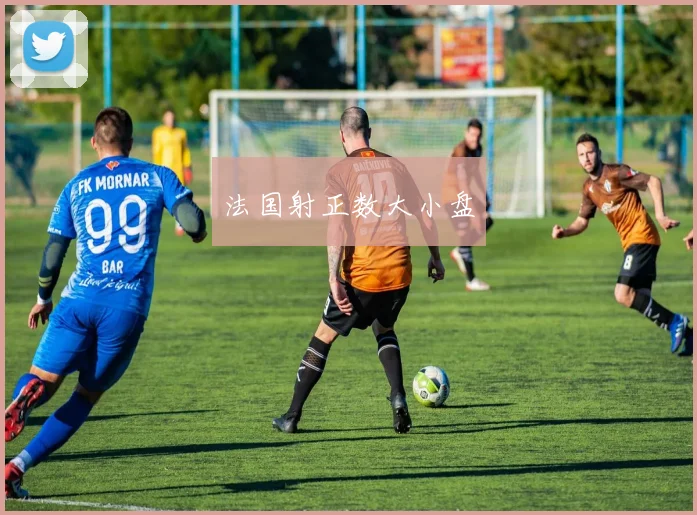 法国射正数大小盘