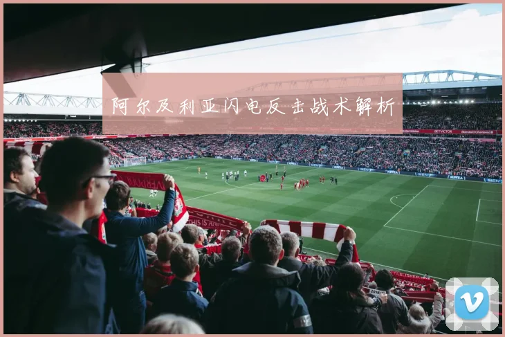 阿尔及利亚闪电反击战术解析