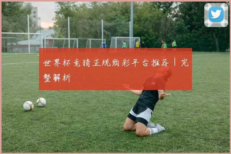 世界杯竞猜正规购彩平台推荐|完整解析