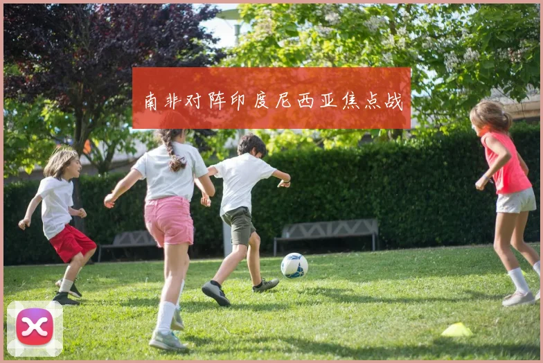 南非对阵印度尼西亚焦点战