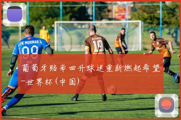 葡萄牙赔率回升球迷重新燃起希望-世界杯(中国)