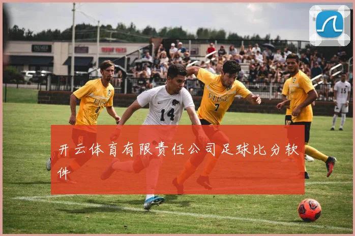 开云体育有限责任公司足球比分软件