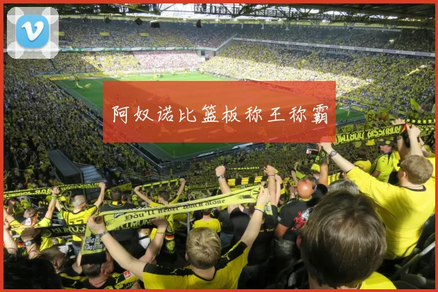 阿奴诺比篮板称王称霸