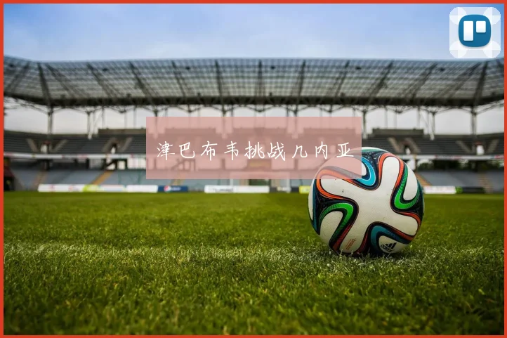 津巴布韦挑战几内亚