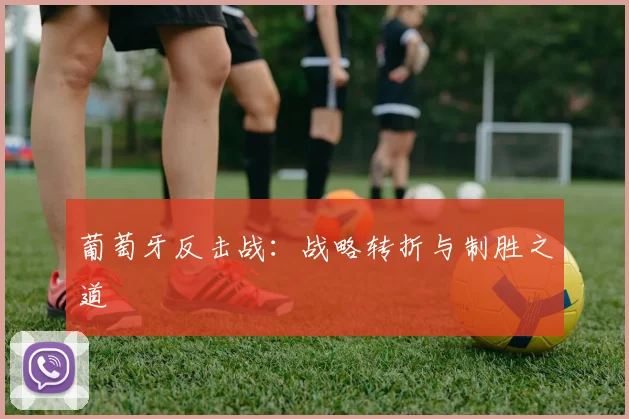 葡萄牙反击战：战略转折与制胜之道