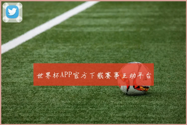 世界杯APP官方下载赛事互动平台
