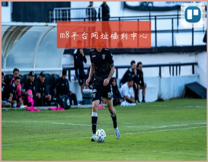 m8平台网址福利中心