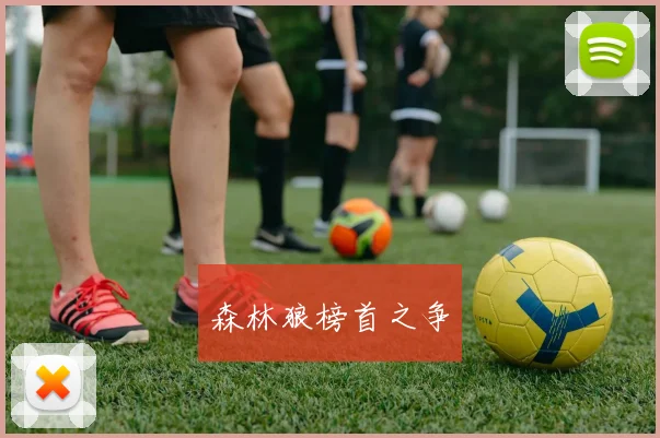 森林狼榜首之争