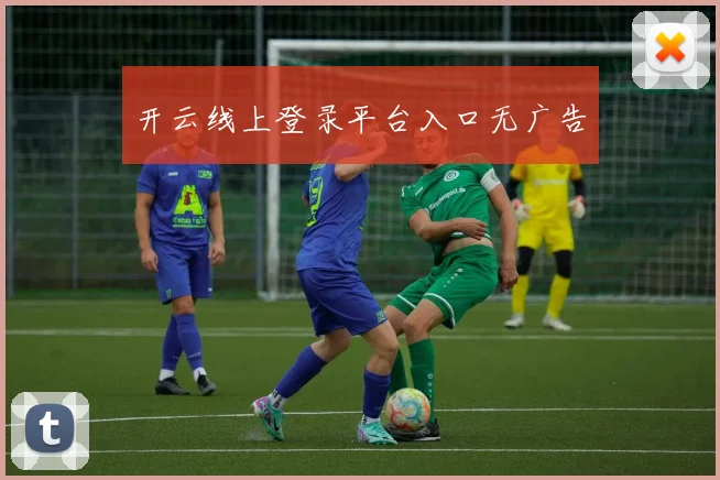 开云线上登录平台入口无广告