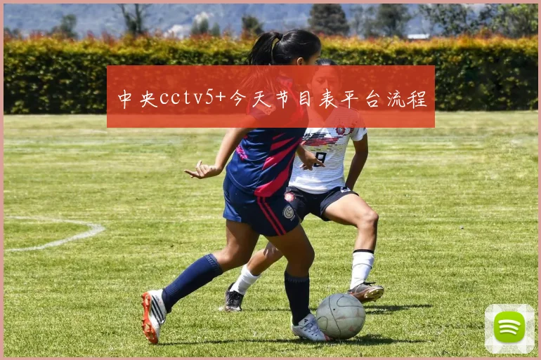 中央cctv5+今天节目表平台流程