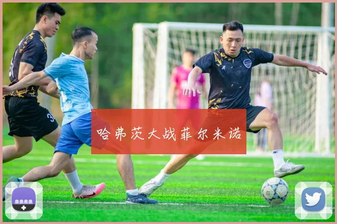 哈弗茨大战菲尔米诺