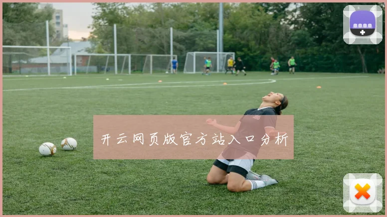 开云网页版官方站入口分析