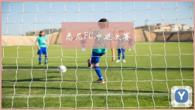 悉尼FC冲进决赛