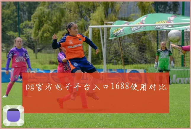 pg官方电子平台入口1688使用对比