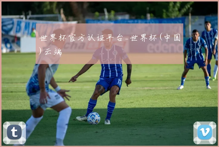 世界杯官方认证平台_世界杯(中国)云端