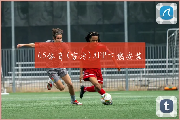 65体育(官方)APP下载安装