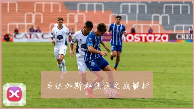 马达加斯加焦点之战解析
