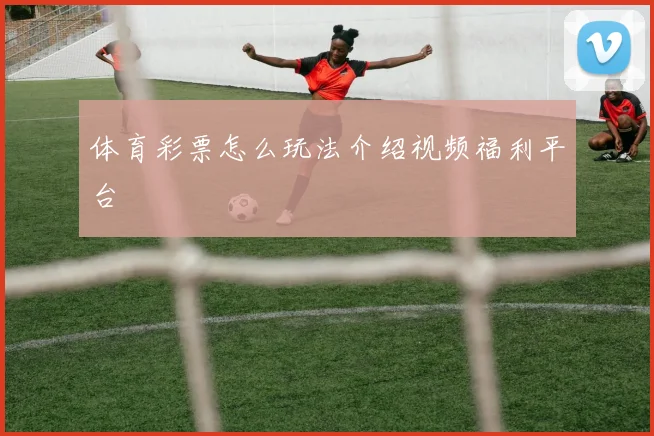 体育彩票怎么玩法介绍视频福利平台