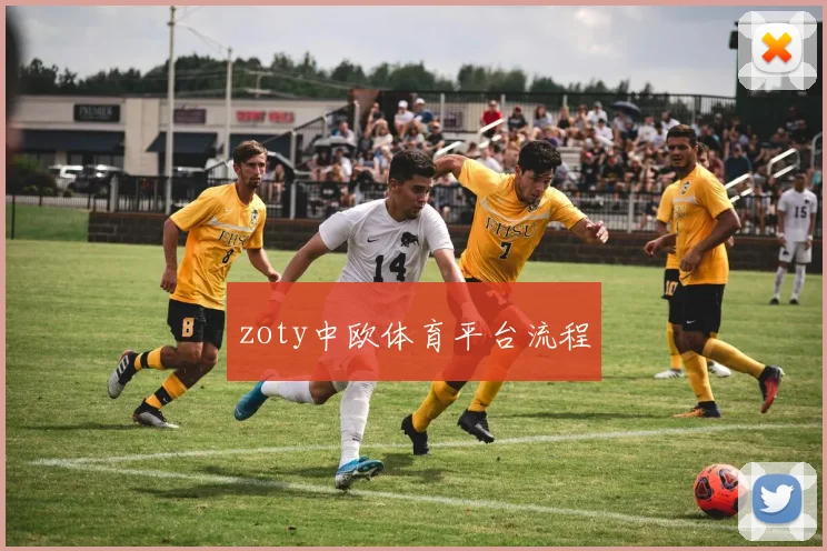 zoty中欧体育平台流程