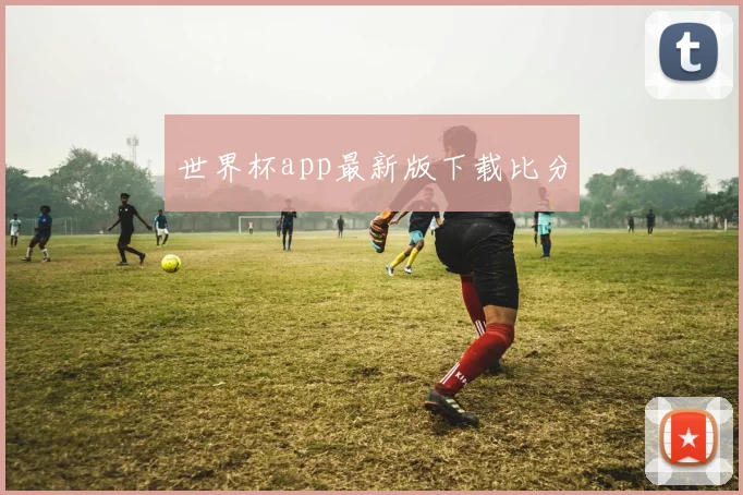 世界杯app最新版下载比分