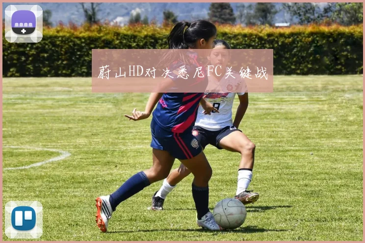 蔚山HD对决悉尼FC关键战