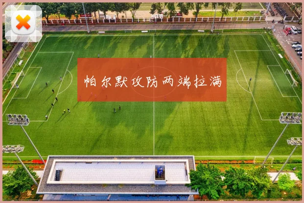 帕尔默攻防两端拉满