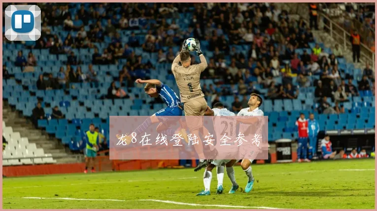 龙8在线登陆安全参考
