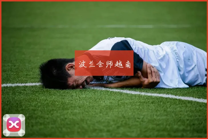 波兰会师越南