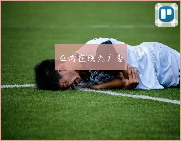 亚搏在线无广告