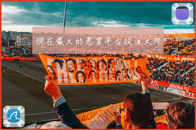 现在最火的悬赏平台投注大厅