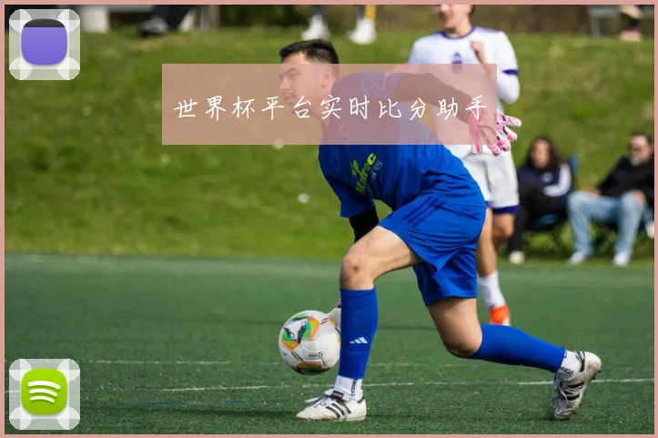 世界杯平台实时比分助手