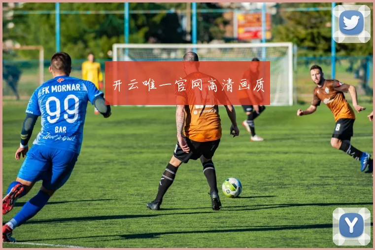 开云唯一官网高清画质