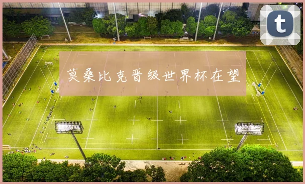 莫桑比克晋级世界杯在望