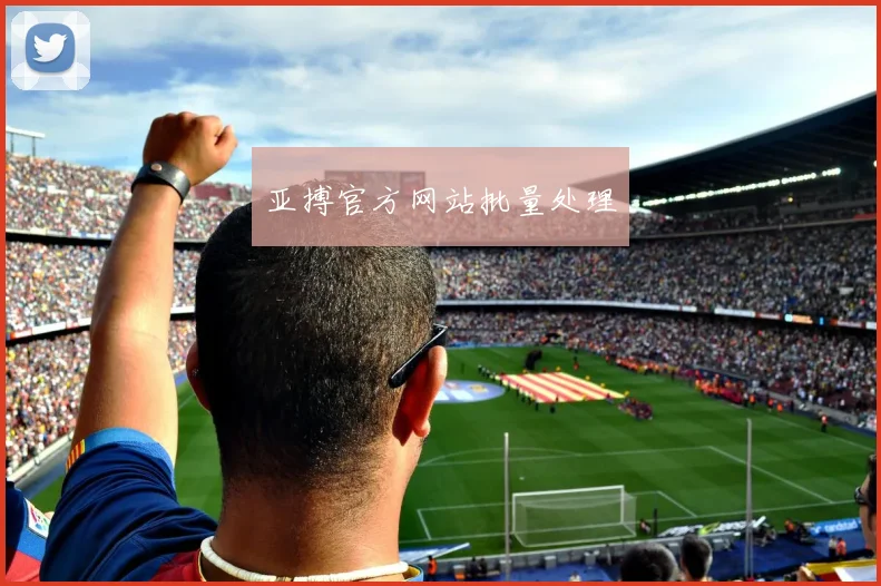 亚搏官方网站批量处理