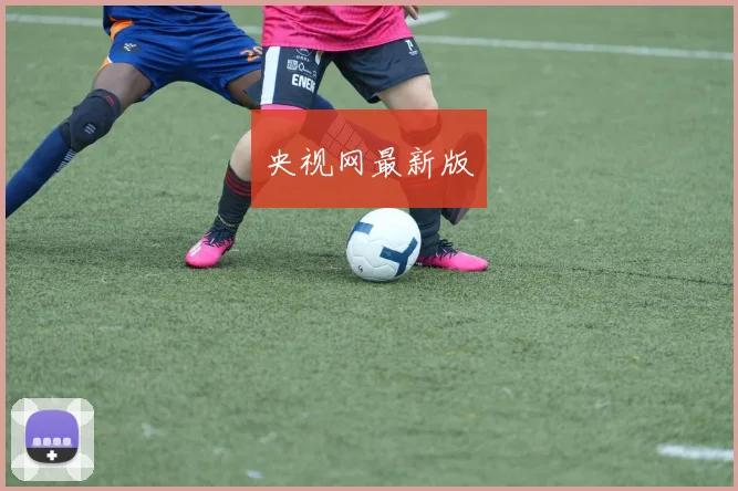 央视网最新版