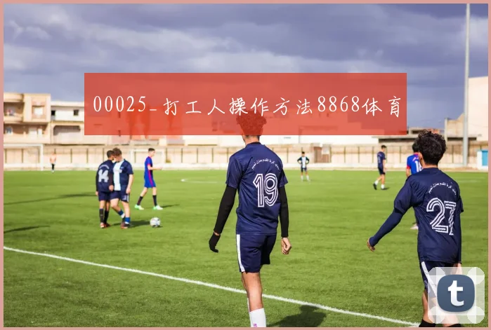 00025_打工人操作方法8868体育