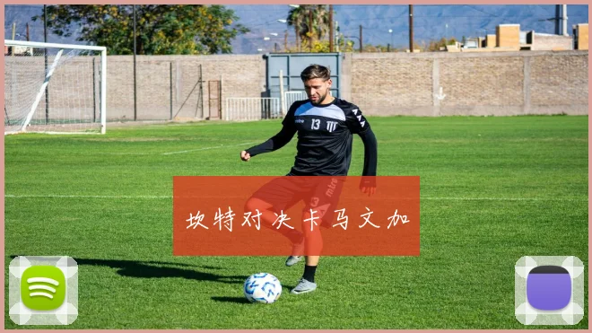 坎特对决卡马文加