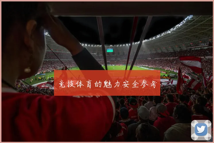 竞技体育的魅力安全参考