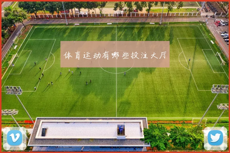 体育运动有哪些投注大厅