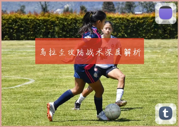 乌拉圭攻防战术深度解析