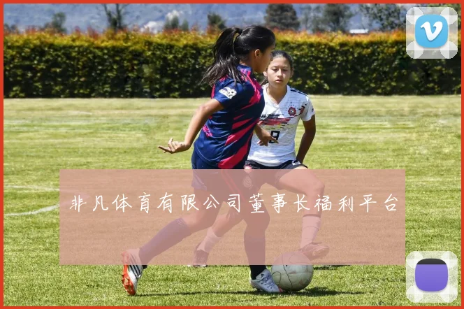 非凡体育有限公司董事长福利平台
