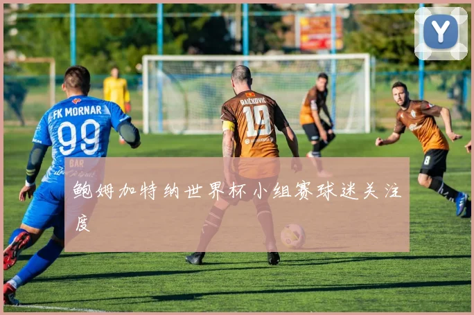 鲍姆加特纳世界杯小组赛球迷关注度