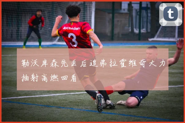 勒沃库森先丢后追弗拉霍维奇大力抽射高燃回看