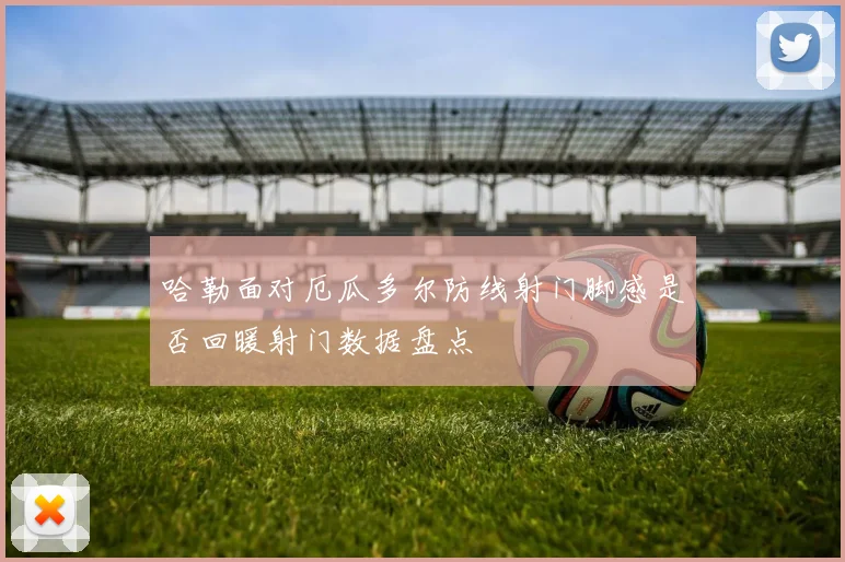 哈勒面对厄瓜多尔防线射门脚感是否回暖射门数据盘点