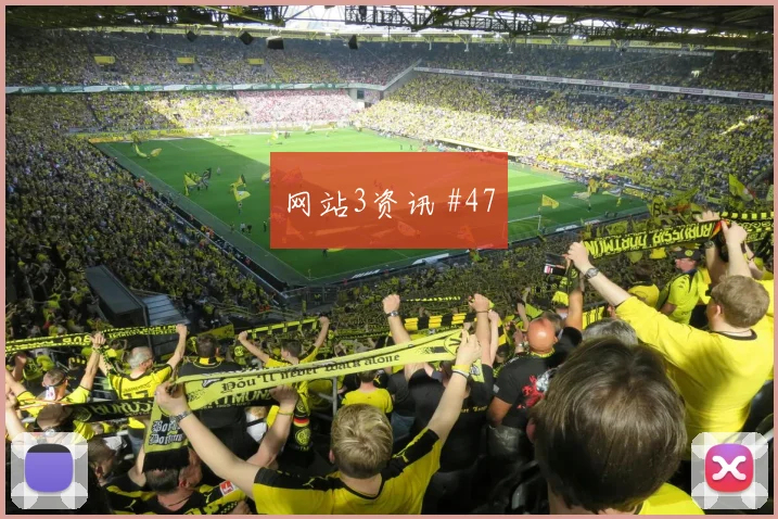 加拿大vs波黑2026世界杯中场组织